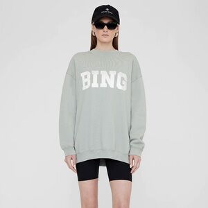 Anine Bing Tyler sweatshirt